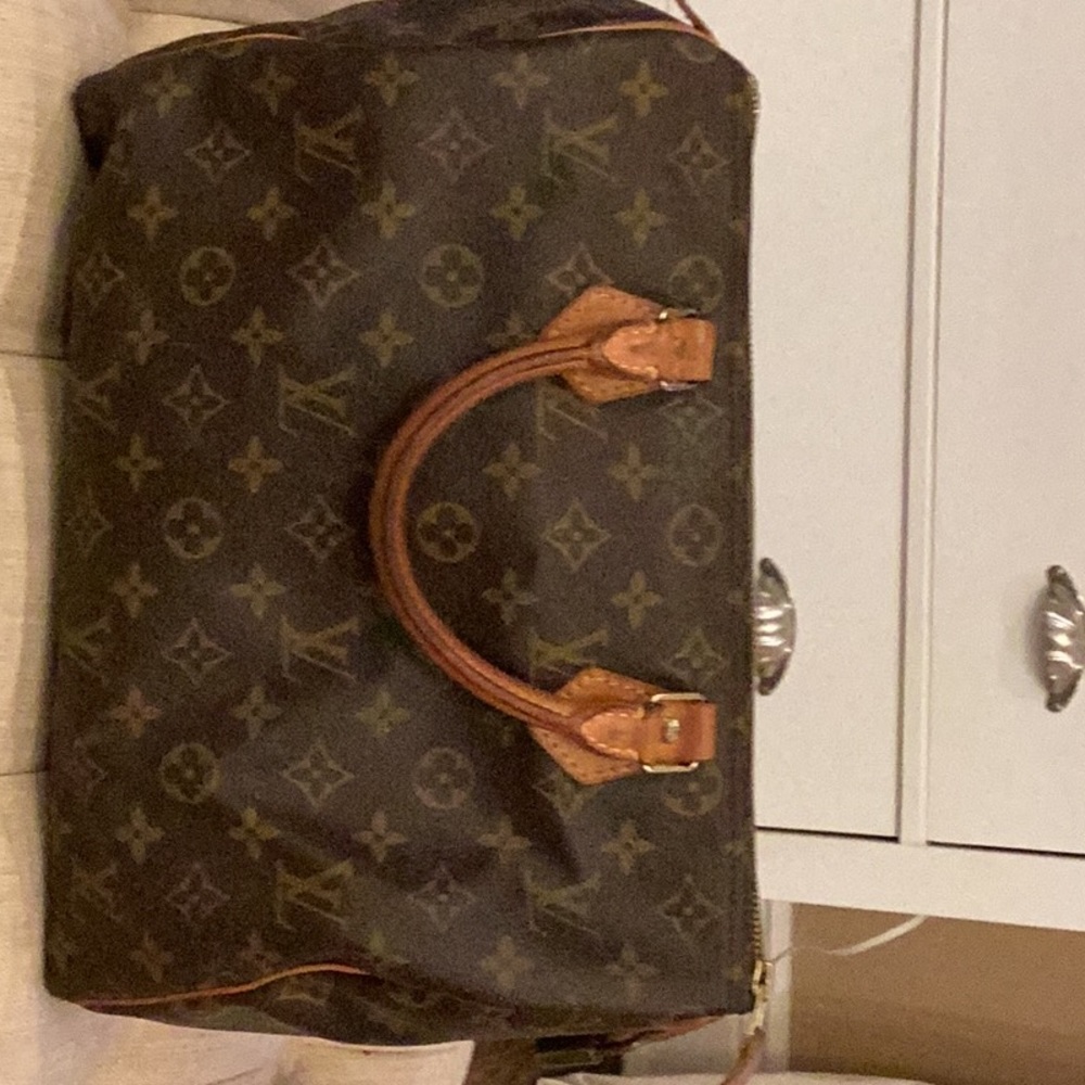 Louis Vuitton Speedy Satchel